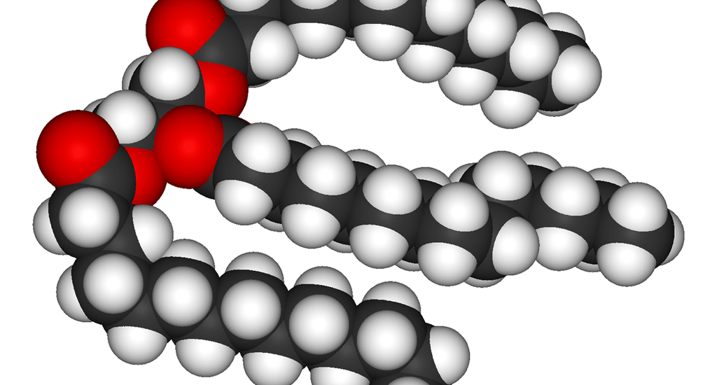 Molecola di lipide